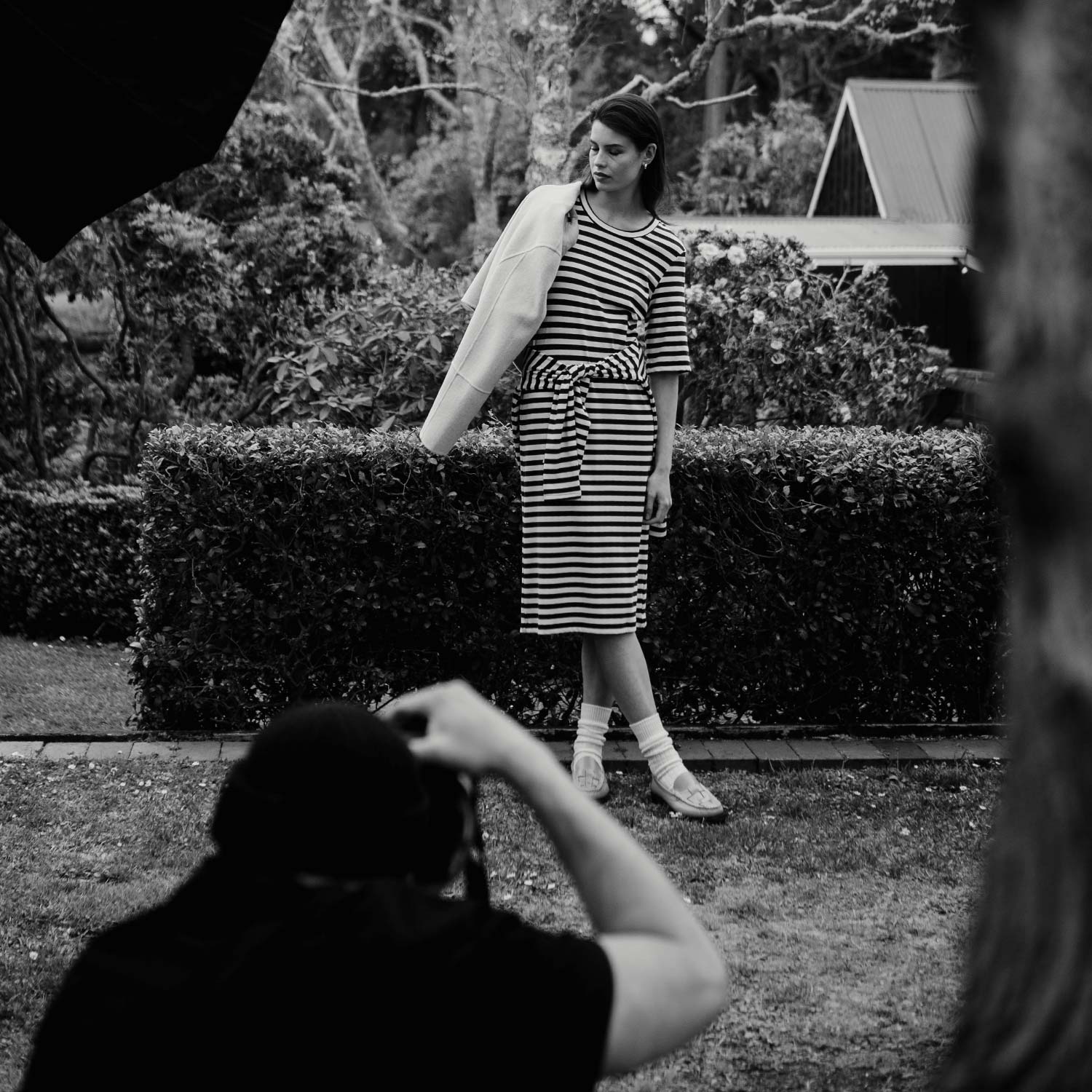 Sills Collection One