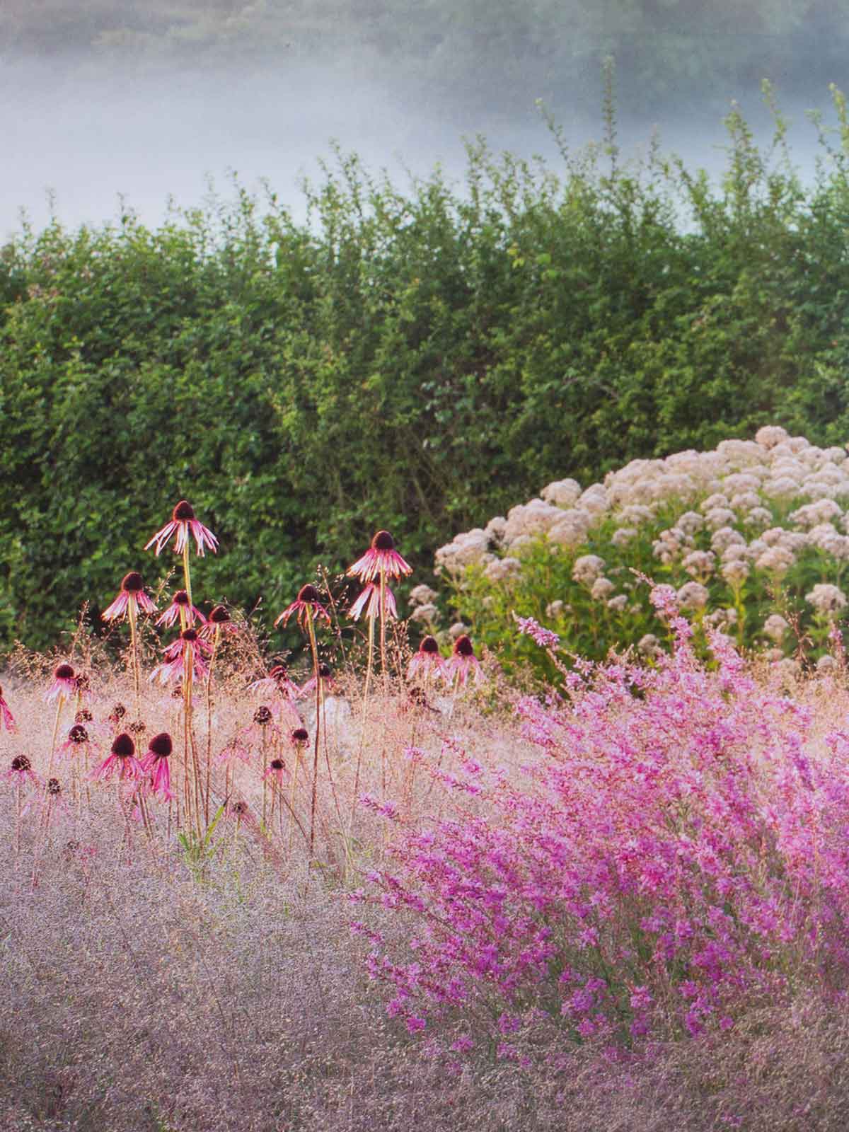 Brilliant English Gardens