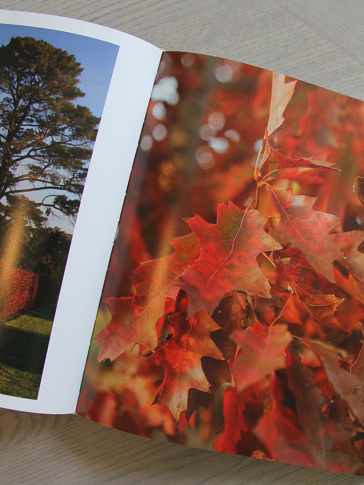 Stonefields By The Seasons