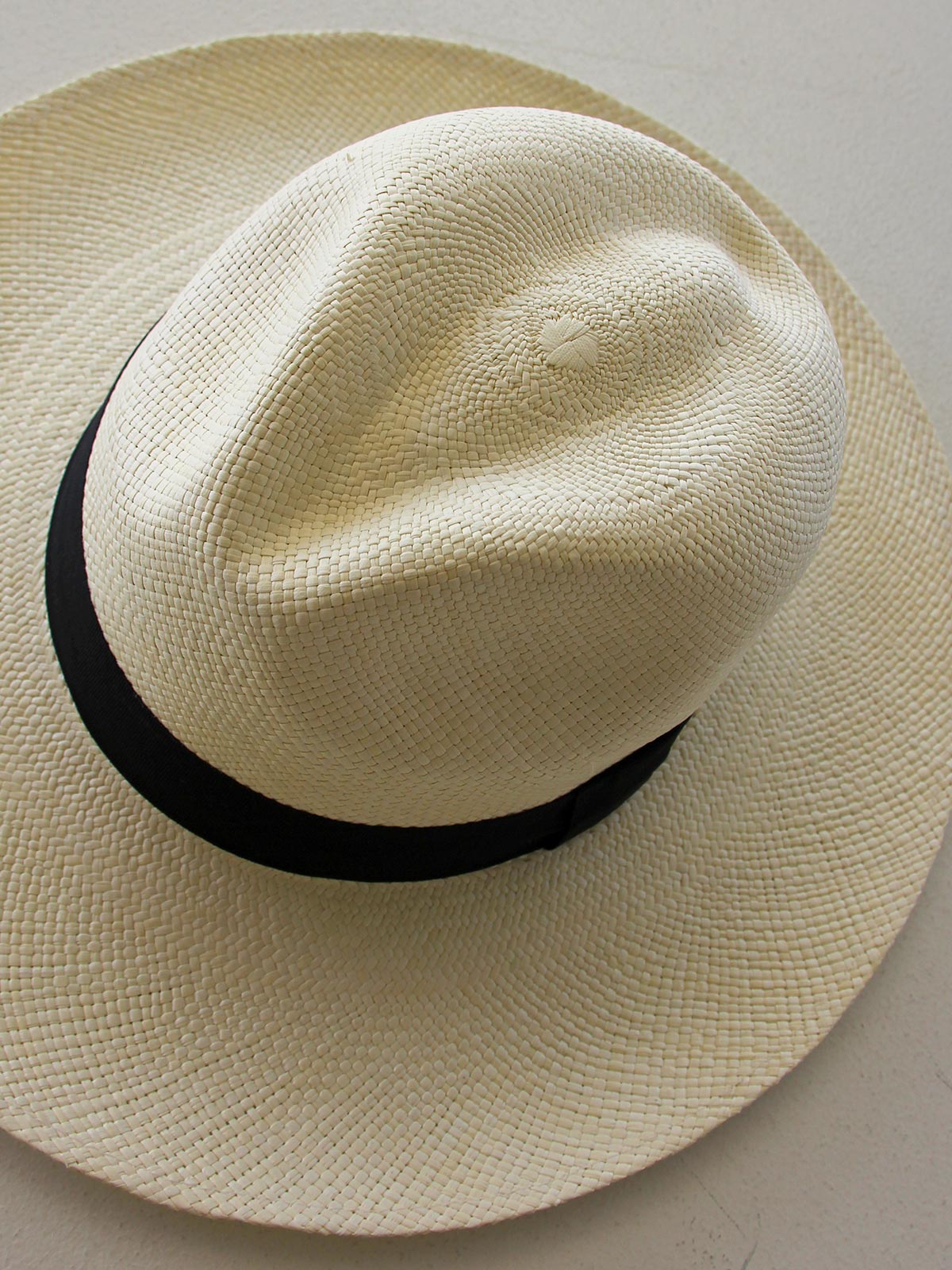 Amal Panama