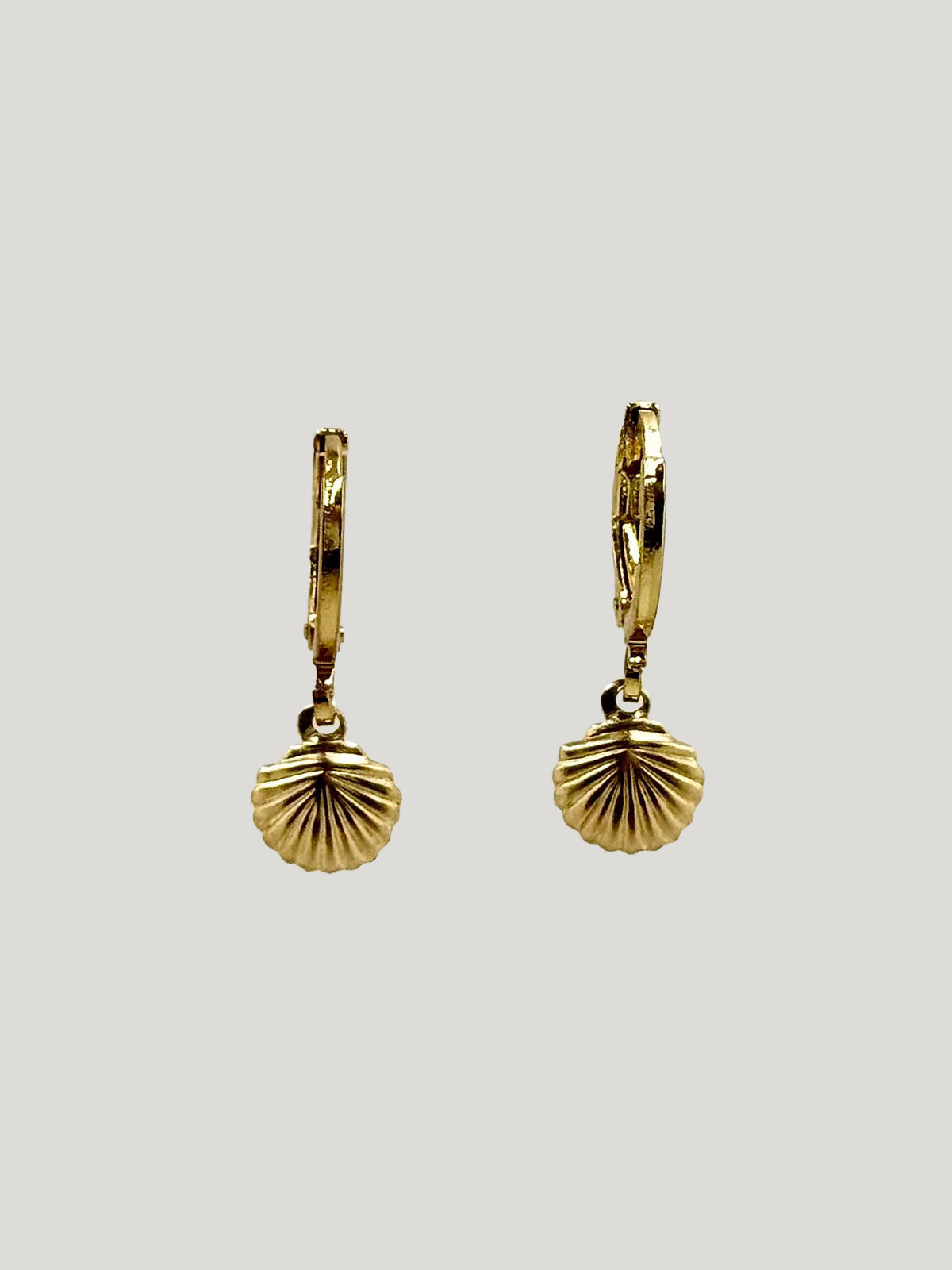 Shell Drop Earrings