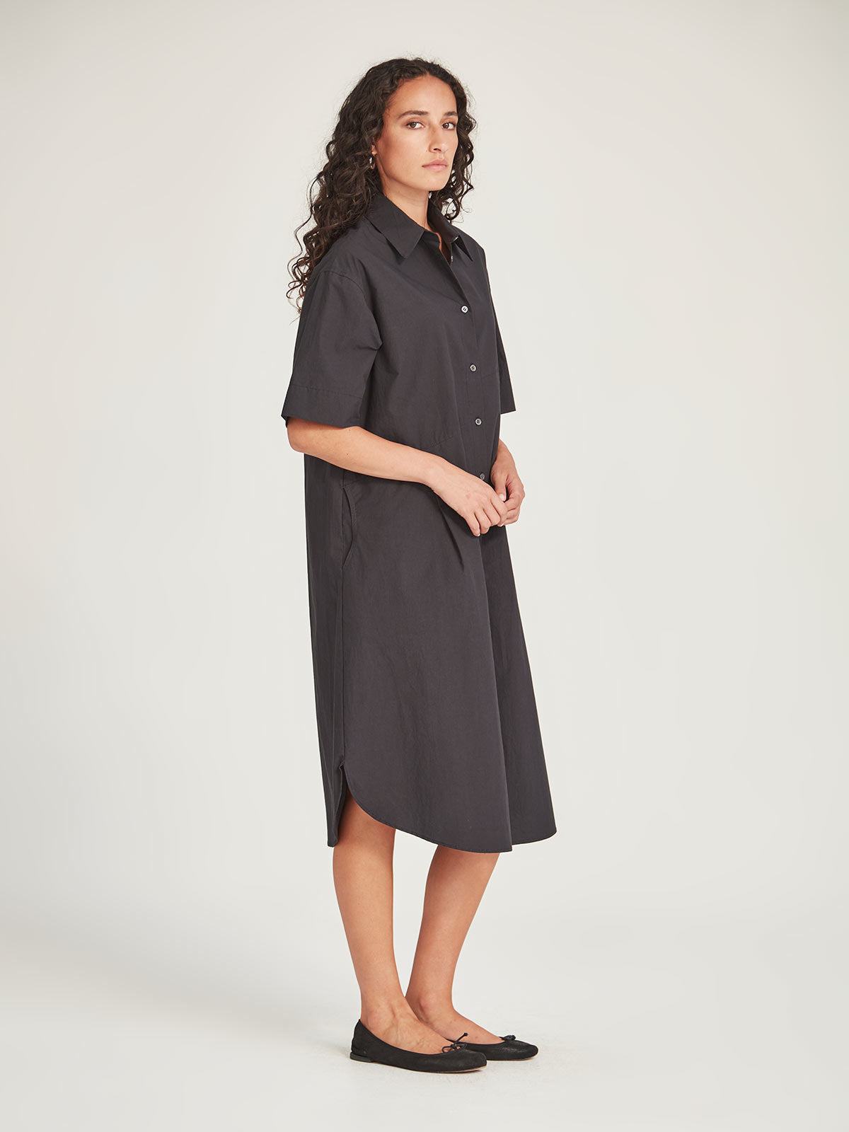 Stefan Shirt Dress
