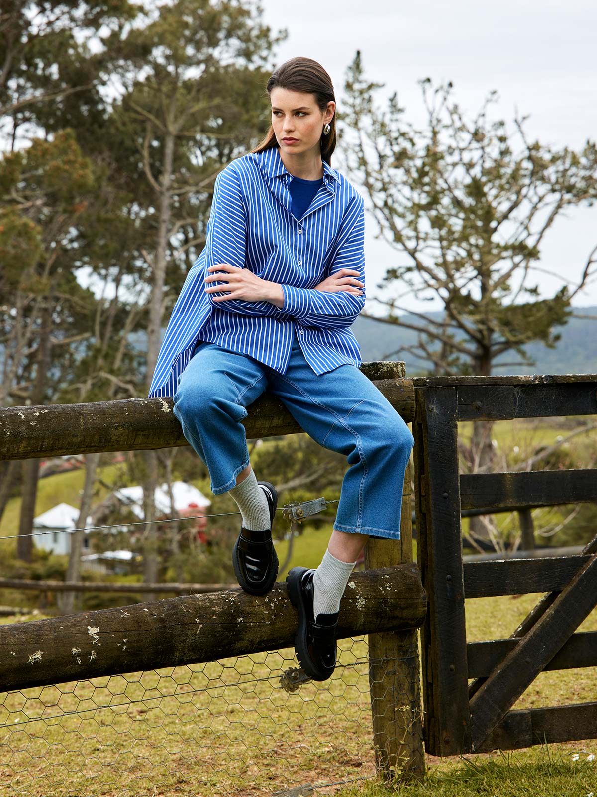 Carerra Stripe Shirt