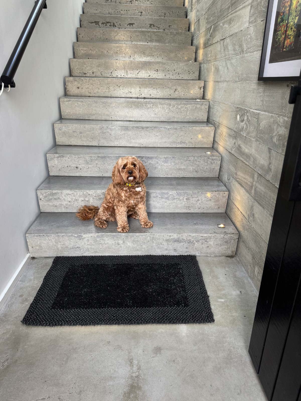 Border Loop Doormat