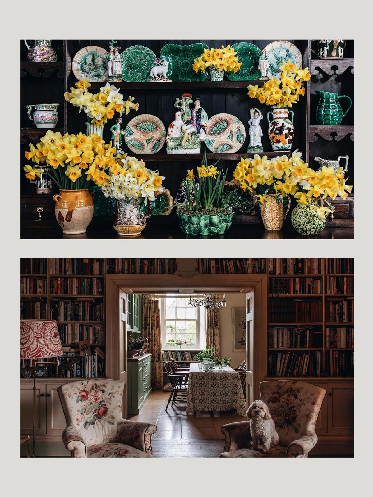The Nature of Decorating