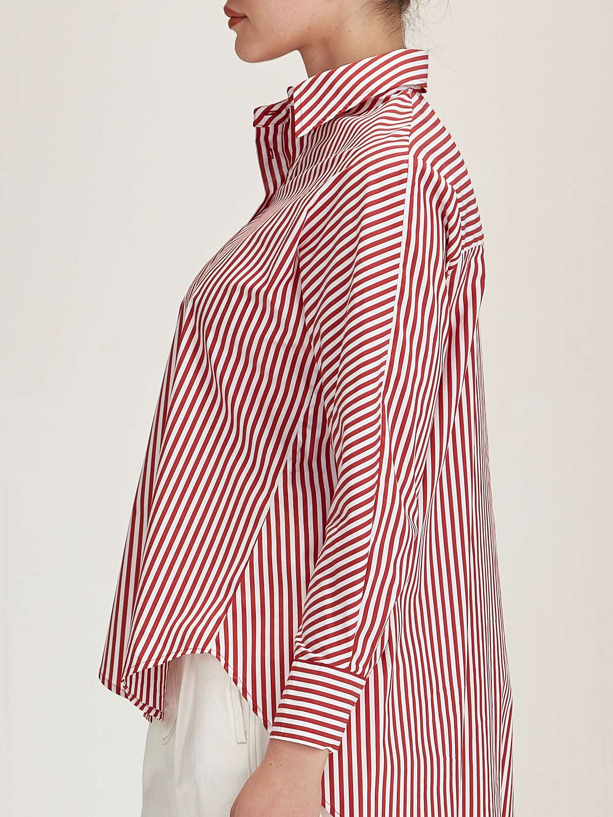 Carerra Stripe Shirt