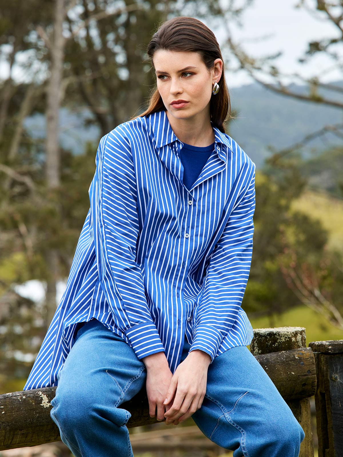 Carerra Stripe Shirt